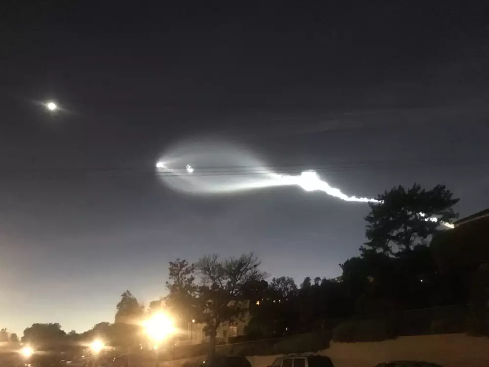 Space Jellyfish